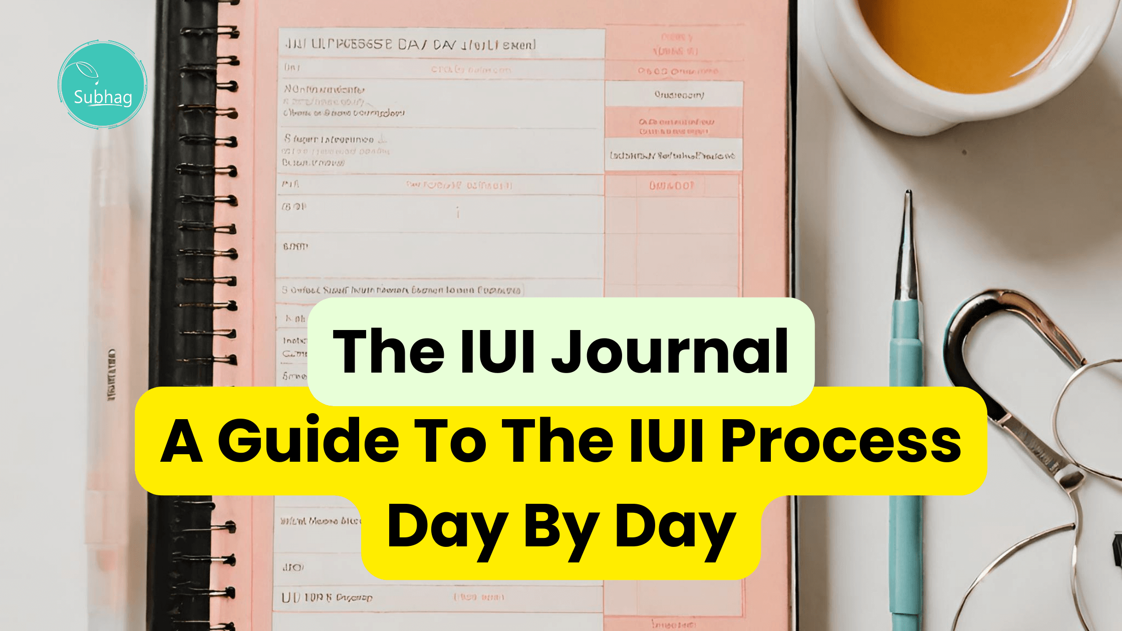 The IUI Journal A Guide To The IUI Process Day By Day