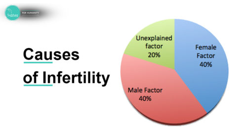 What Are The Main Causes Of Infertility In Males And Females?