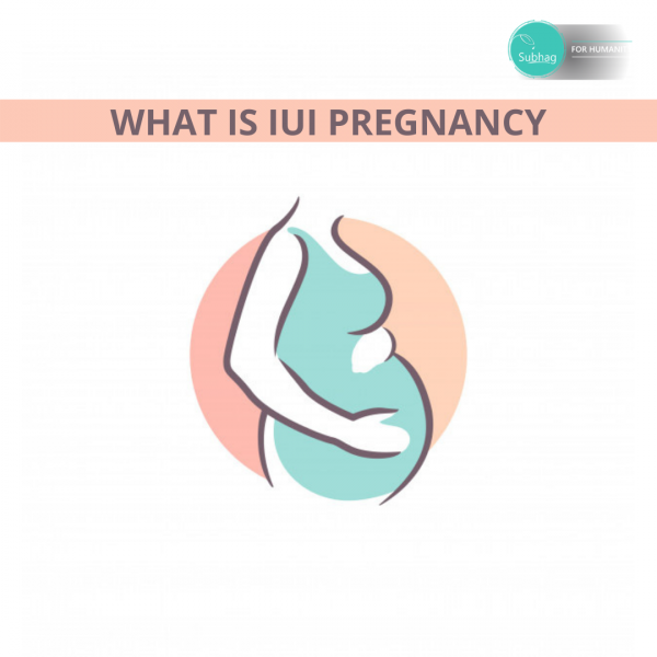 IUI Process day by day
