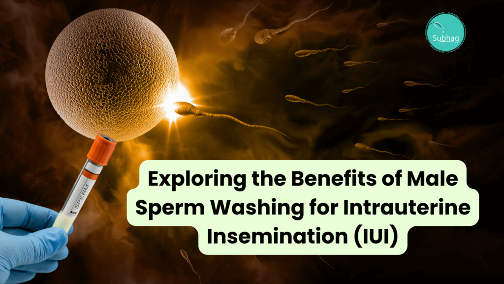 Exploring the Benefits of Male Sperm Washing for Intrauterine Insemination (IUI)