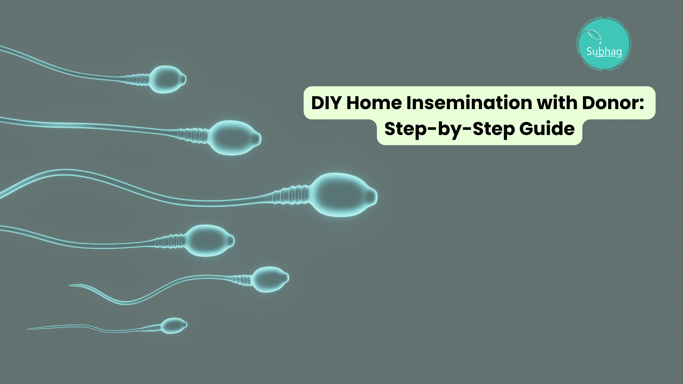 DIY Home Insemination with Donor Step-by-Step Guide